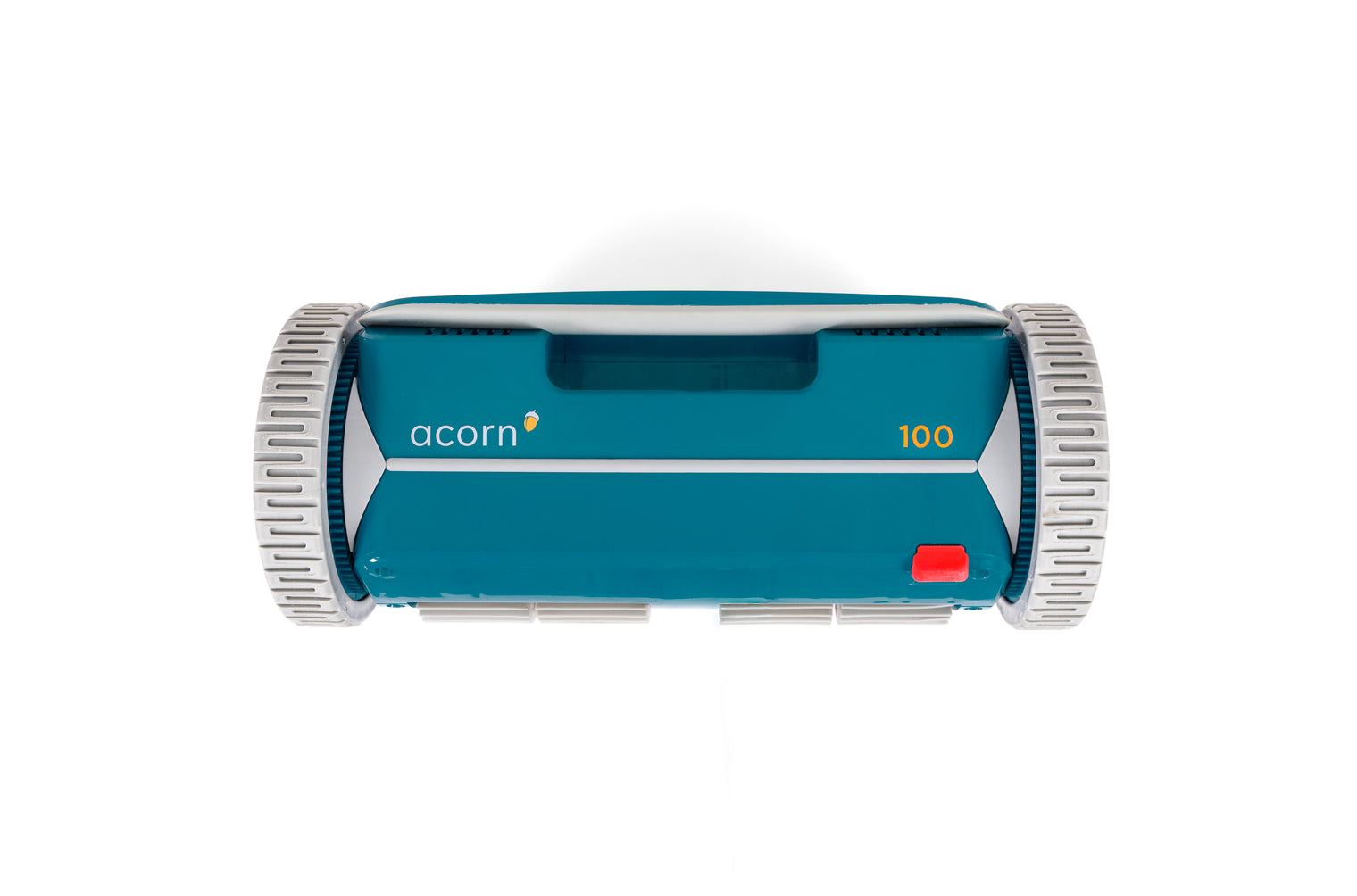 Acorn 100