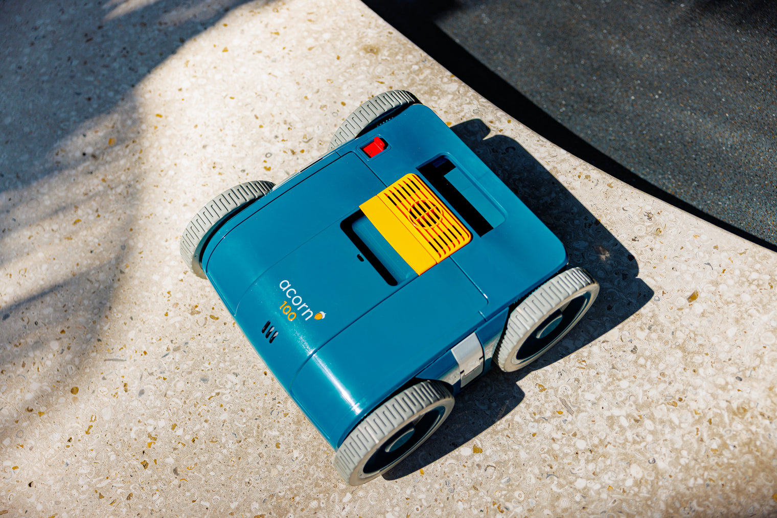 Acorn 100